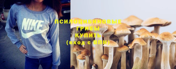 наркотики Белокуриха