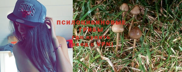 Альфа ПВП Беломорск