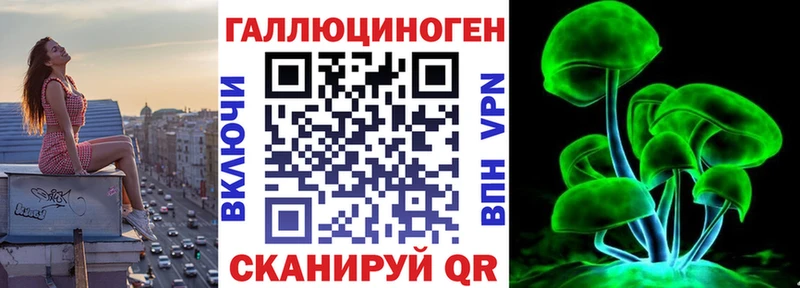 Купить закладки  Багратионовск  Псилоцибиновые грибы Magic Shrooms 